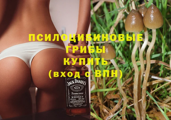 гидра Алзамай