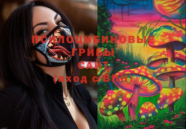 прущий лед Алексеевка